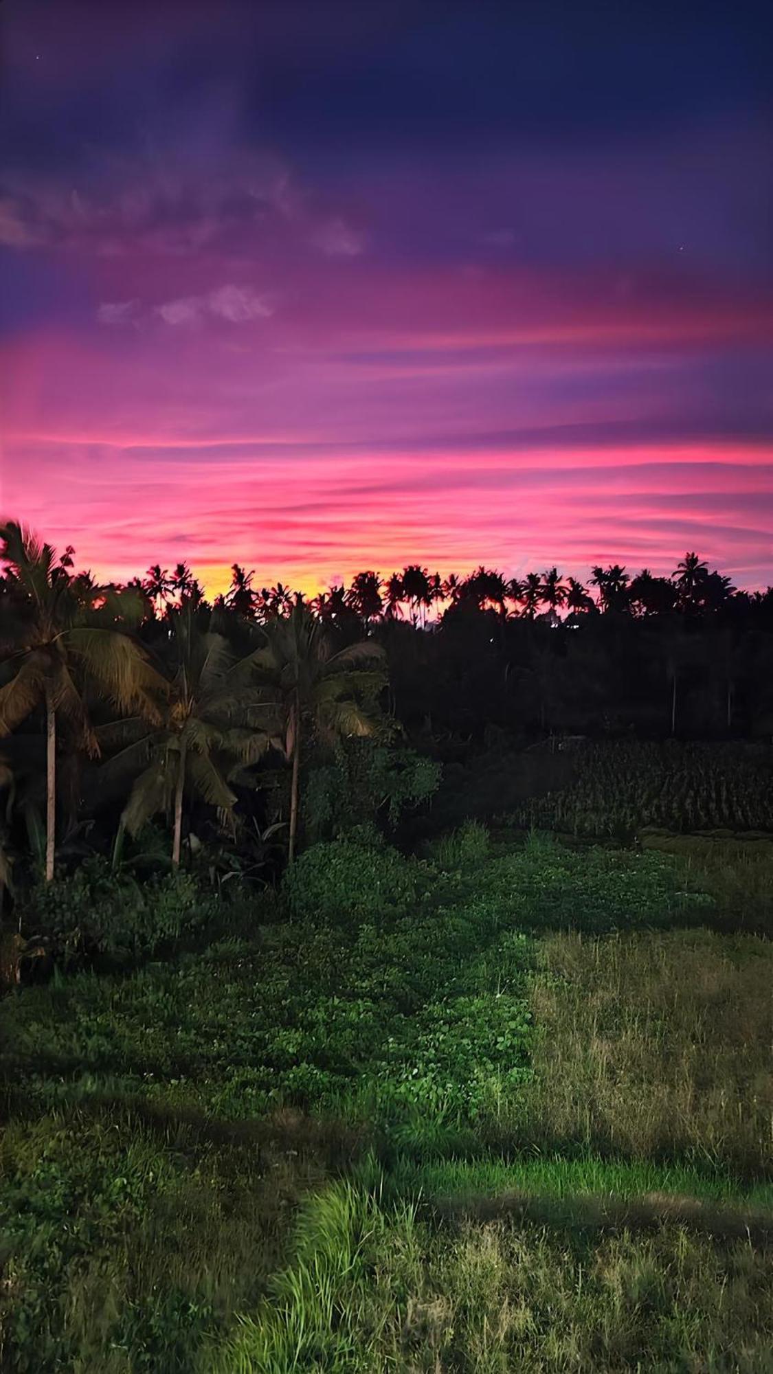 Wadari Retreat Villa Ubud Extérieur photo
